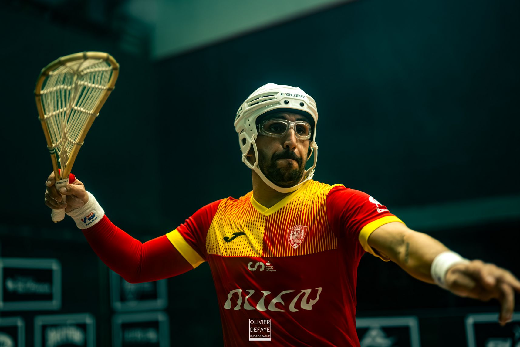 Ligue des nations 2024