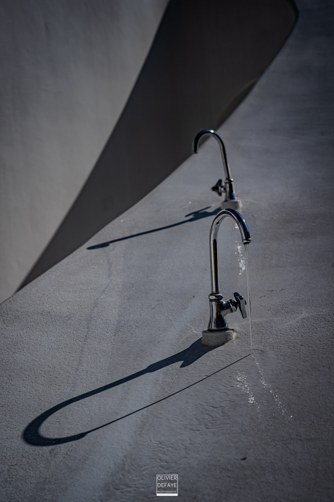 Les arbres et la ville