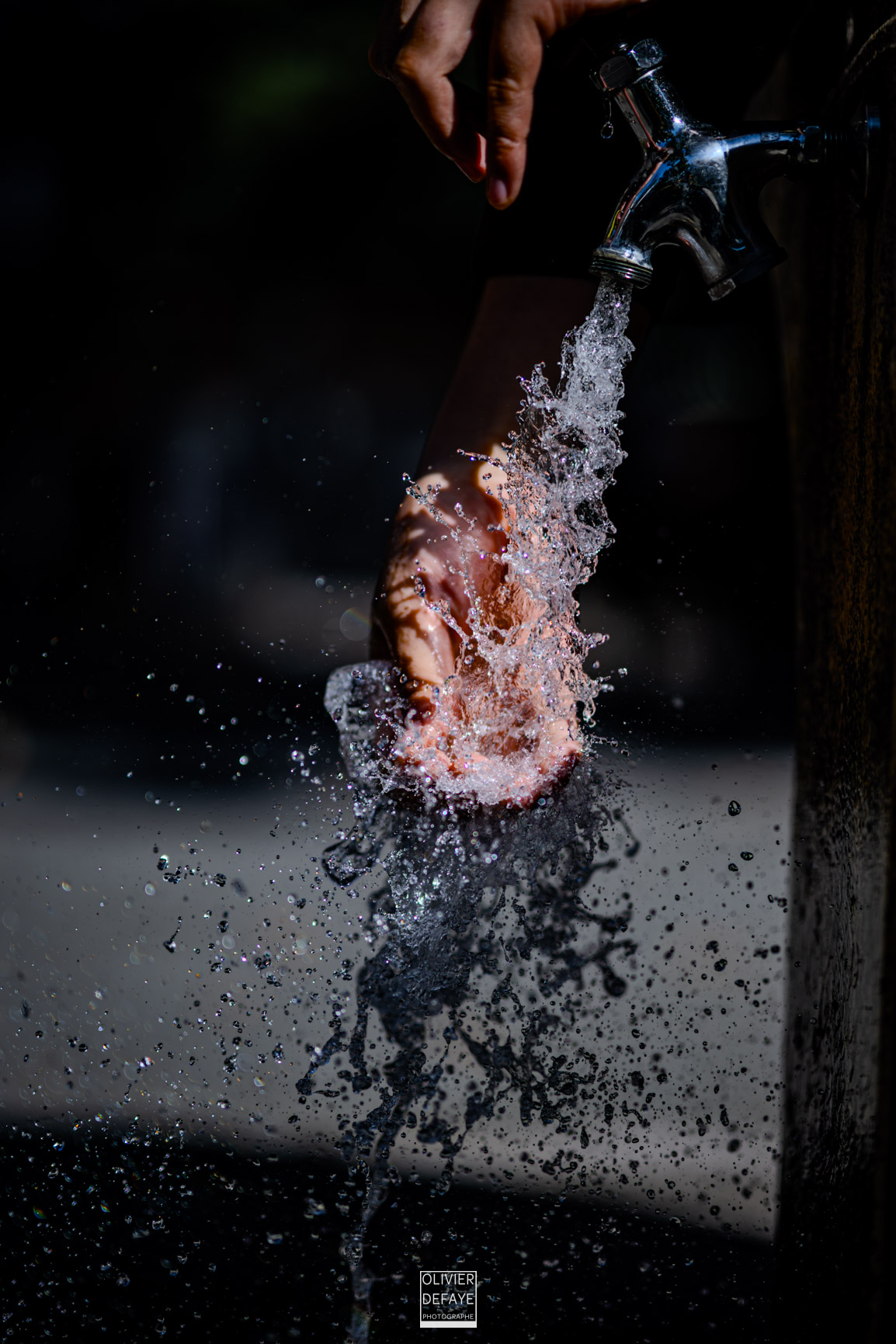 Les arbres et la ville
