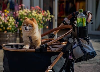 Photographie