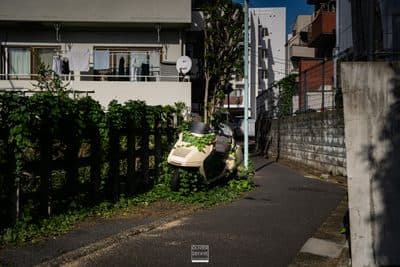 Photographie