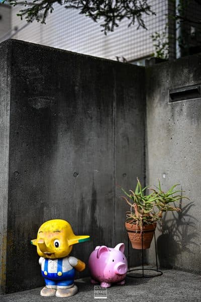 Photographie