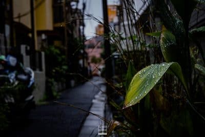 Photographie