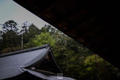 Photographie