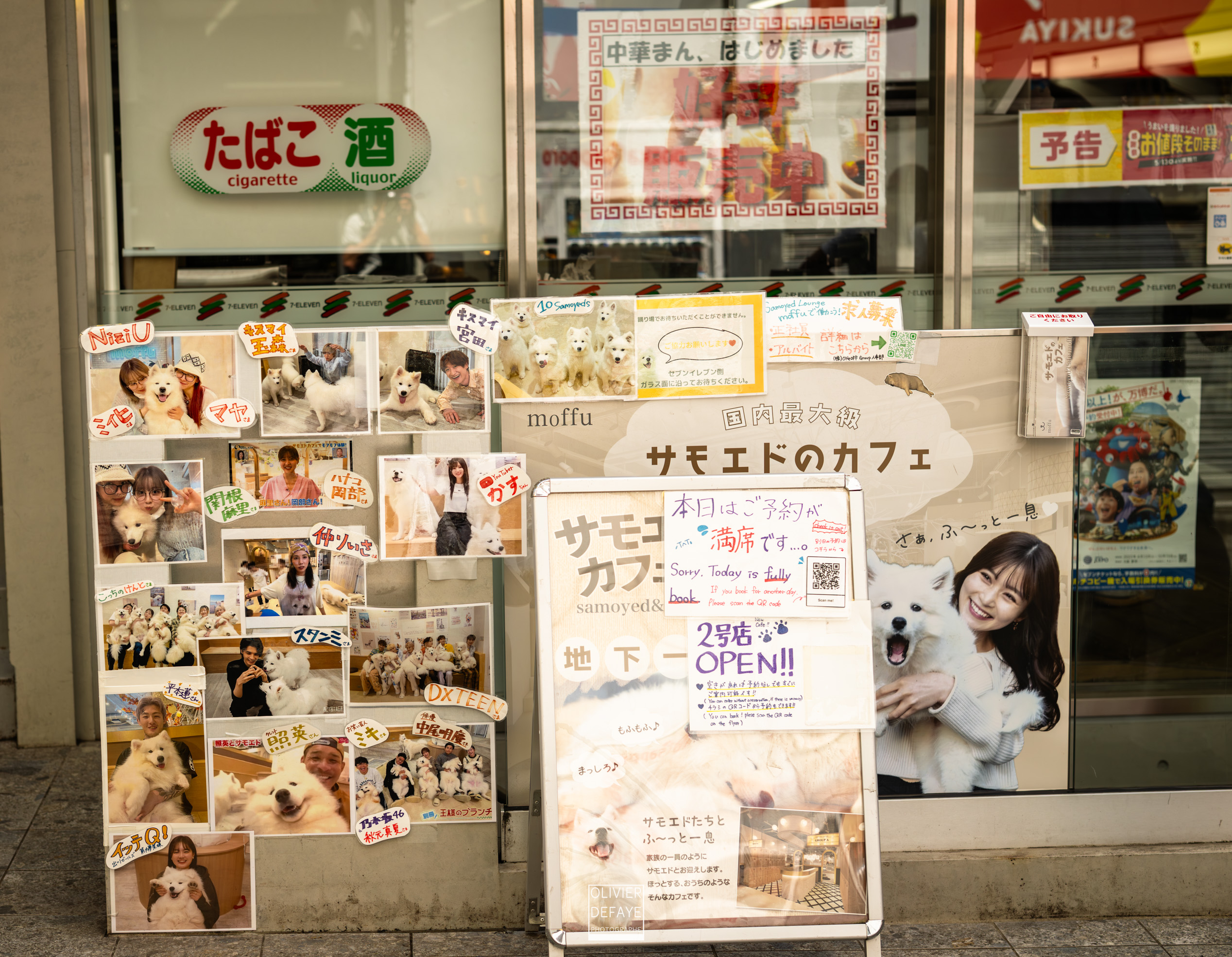 Les chiens au Japon