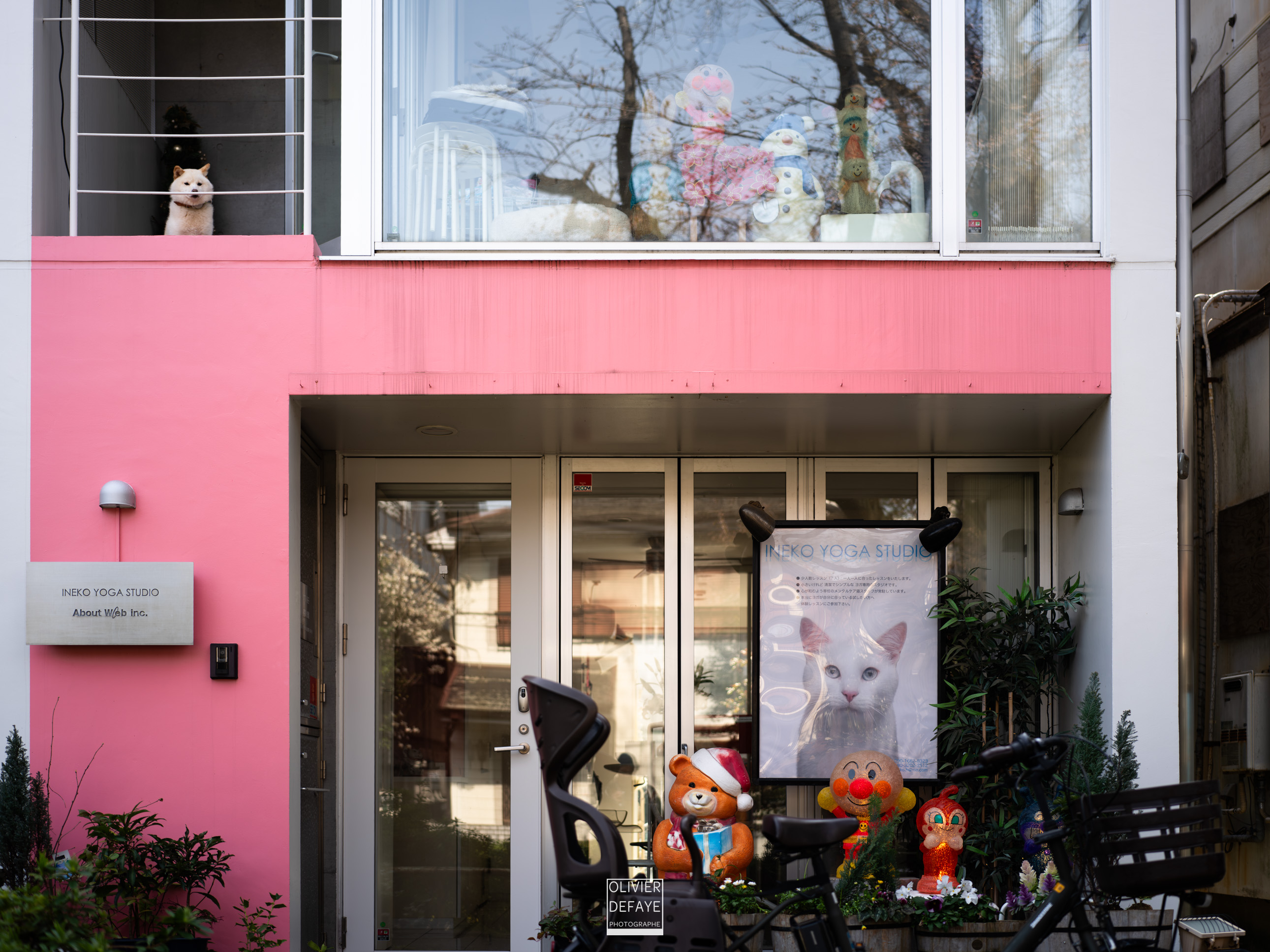 Les chiens au Japon