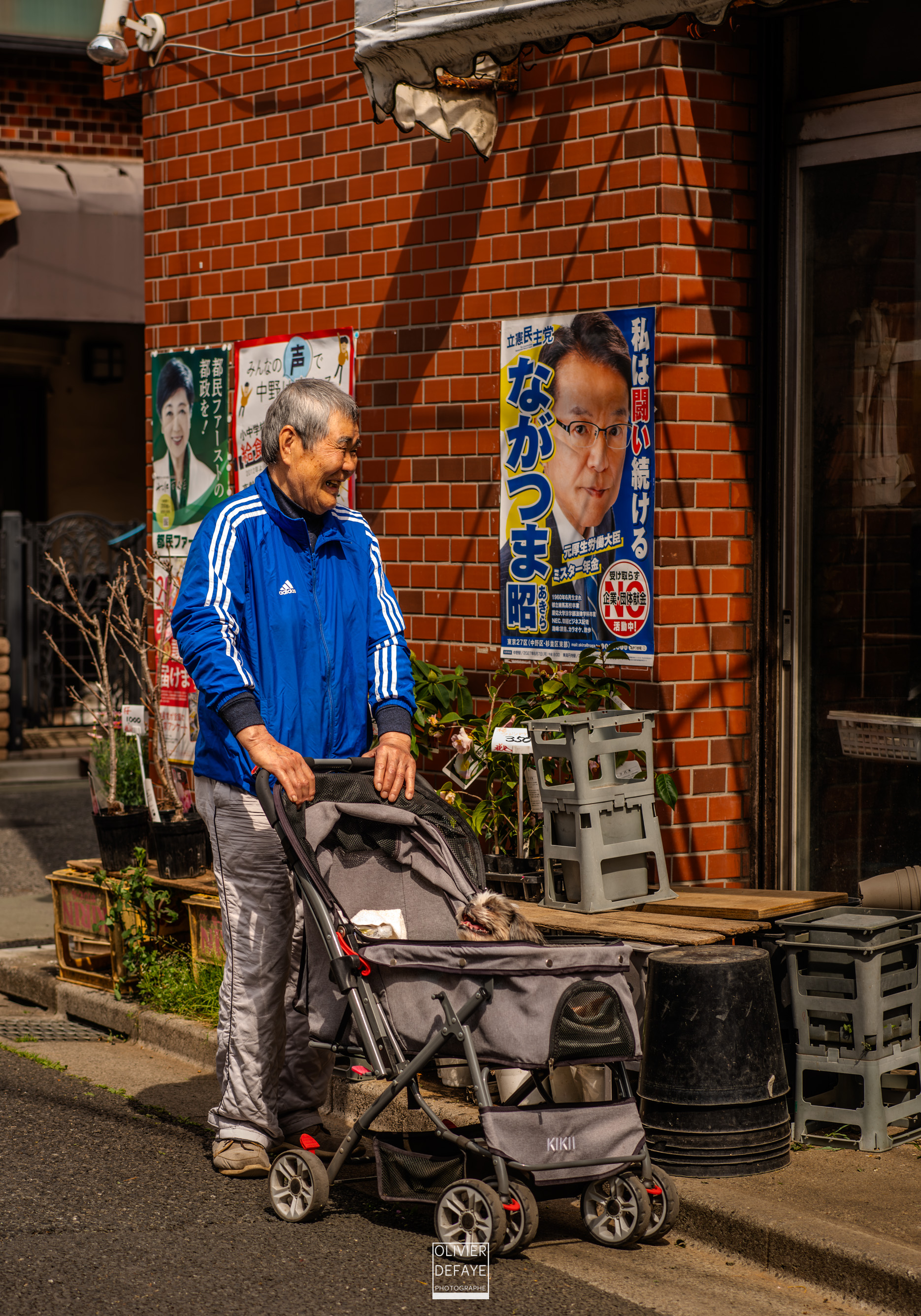 Les chiens au Japon